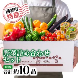【先行受付】農家直送新鮮野菜と柚子こしょう詰め合わせセット[2607]