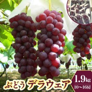 ぶどう(デラウェア)　0009-2601