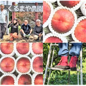 ふるさと納税 上山市 【フルーツ王国直送!】山形旬の桃　3kg(品種おまかせ)いずれか1品種　0033-2606