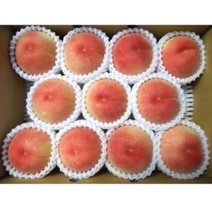 ふるさと納税 上山市 山形の旬の桃(品種おまか...の詳細画像1