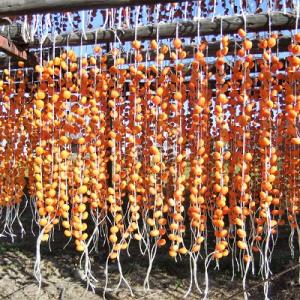 ふるさと納税 上山市 紅干し柿 200g×2パ...の詳細画像3