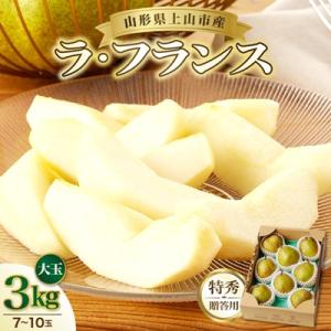 西洋梨(ラ・フランス)3kg　大玉　特秀品　贈答用　0055-2610