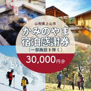 ふるさと納税 上山市 上山市ふるさと納税感謝券30,000円分　0023-2207