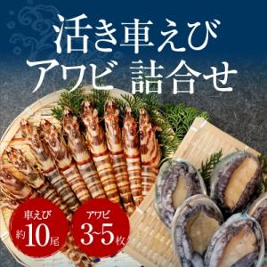 ふるさと納税 天草市 【指定日必須】活車海老とアワビ詰合せ 車海老 約10尾 アワビ 3〜5枚_S0...