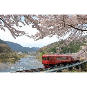 ふるさと納税 関市 観光列車「ながら」ランチプラン乗車券(ペア) T84-01