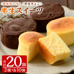 ふるさと納税 いちき串木野市 ふわっふわのスフレタイプのプチケーキ!半生チーズ・半生ちょこ詰合せ