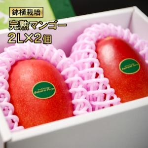 ふるさと納税 西都市 【先行受付】西都市産完熟マ...の商品画像