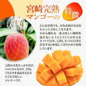 ふるさと納税 西都市 【先行受付】西都市産完熟...の詳細画像2