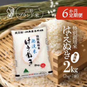 【6か月定期便】庄内米 特別栽培米はえぬき無洗米2kg【8月中旬発送】