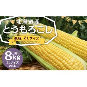 北海道産とうもろこし(恵味)2Lサイズ22本山田農場
