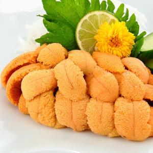 ムラサキウニ塩水パック100～110g×2P B-81007