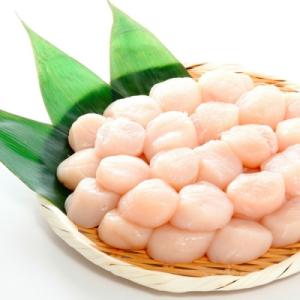 ふるさと納税 根室市 【年内配送】ほたて500g・サーモン500gお刺身セット A-24005