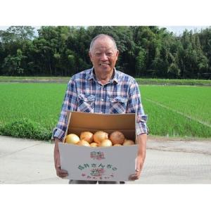 ふるさと納税 洲本市 【2022年春収穫品先行受付】成井さんちの完熟たまねぎ(10kg):O-07