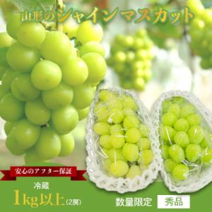 【2026年発送】山形のぶどう(シャインマスカット)2房・計1kg以上_H065(R8)