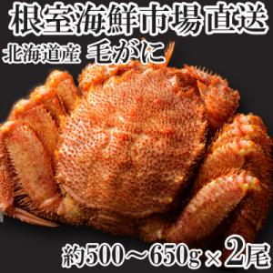 ふるさと納税 根室市 ボイル毛がに(新物)約500〜650g×2尾