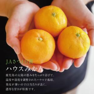 ふるさと納税 南さつま市 【7〜8月発送】ハウ...の詳細画像1