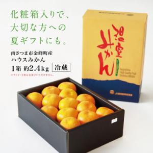 ふるさと納税 南さつま市 【7〜8月発送】ハウ...の詳細画像3