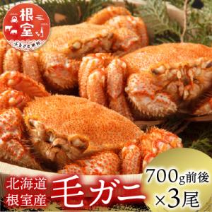 【北海道根室産】毛がに700g前後×3尾 D-21003