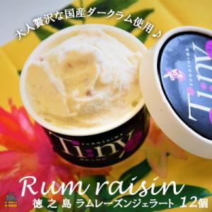 ～国産ホワイトラム使用～大人贅沢なラムレーズンジェラート