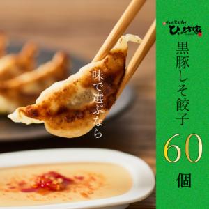 かごしま黒豚しそ餃子60個(タレ付)
