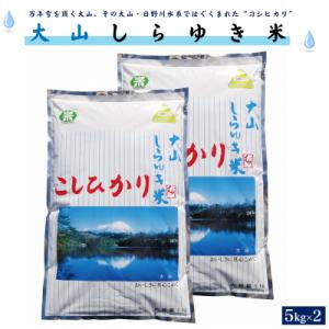 米子市 ふるさと納税 【令和2年産】大山しらゆき米10kg(精白、コシヒカリ、5kg×2)｜y-sf