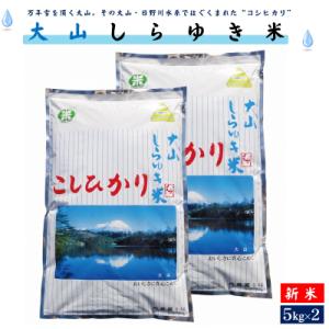 ふるさと納税 米子市 大山しらゆき米10kg(精白、コシヒカリ、5kg×2)