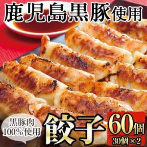 鹿児島黒豚餃子60個(30個×2)【九面屋】A-109