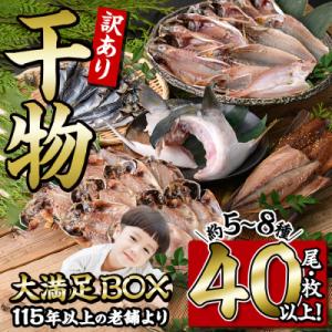 ふるさと納税 佐伯市 老舗ひもの屋職人の「訳あり干物大満足BOX」