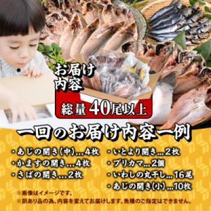 ふるさと納税 佐伯市 <訳あり> ...の詳細画像1