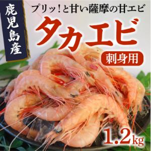 ふるさと納税 南九州市 鹿児島産「タカエビ」刺身用1.2kg