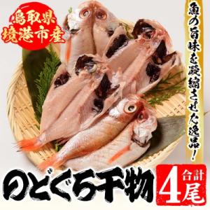 ふるさと納税 境港市 境港産前浜干物 開きのどぐろ(120g×4尾)