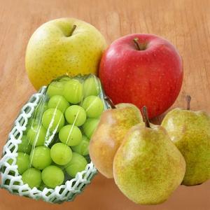 ふるさと納税 長井市 山形の果物(シャインマスカットりんごラフランス)H107