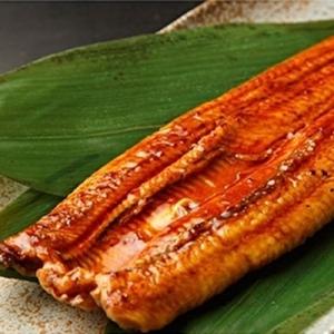ふるさと納税 大崎町 【九州産】備長炭手焼きうなぎの蒲焼(長焼)2尾