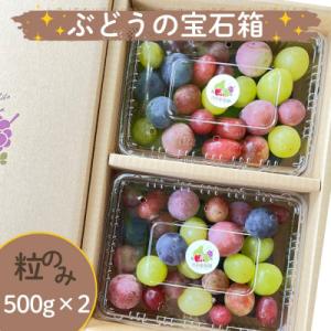 ぶどうの宝石箱(品種いろいろ、粒のみ詰合せ)　500g×2パック　0065-2603