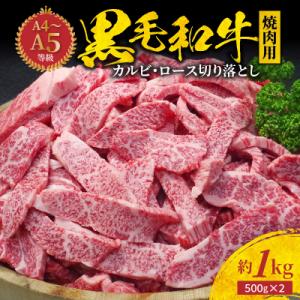 ふるさと納税 天草市 黒毛和牛 焼肉 カルビ ロース 切り落とし 1kg 焼肉のたれ 1本付_S001-024A