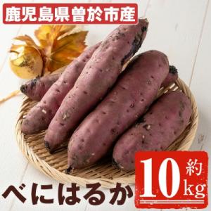 【先行受付】鹿児島県産　紅はるか10kg