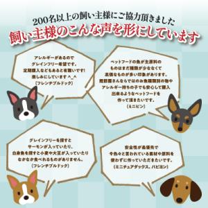 ふるさと納税 焼津市 【定期便 6回】犬用ペッ...の詳細画像2
