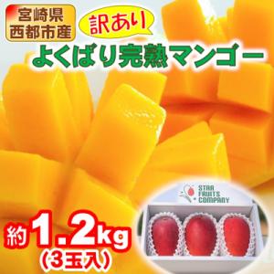 3玉(約1.2kg)宮崎県産よくばり完熟マンゴー【先行受付】[2906]