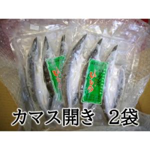 ふるさと納税 熊野市 定置網のハマケン水産【カマスの開き6枚☆無添加】3枚入り×2袋