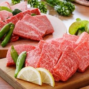 ふるさと納税 枕崎市 A5等級黒毛和牛やわらか焼肉用600g