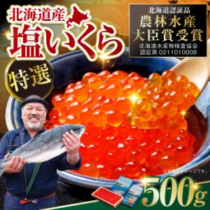 【 北海道産 】 マルア阿部商店特選 塩 いくら 500g ふるさと納税