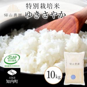 ふるさと納税 知内町 「ゆきさやか 10kg」特別栽培米産地直送《帰山農園》