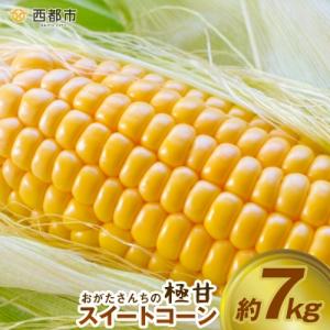 【先行受付】西都市産　 緒方さんちのスイートコーン『イエロー』[1181]