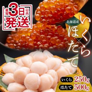 ふるさと納税 釧路市 新物 北海道産いくら250g&amp;北海道産ほたて500g F4F-8918