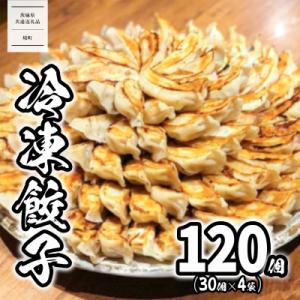 【茨城共通返礼品】〈2026年6月発送〉 ローズポーク使用 道の駅さかい 特製 冷凍餃子 120個