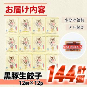 ふるさと納税 いちき串木野市 鹿児島黒豚生餃子...の詳細画像3