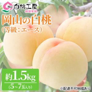 桃 白桃 等級 エース 約1.5kg 5～7玉入り もも 果物 2026年[NO5765-0525]