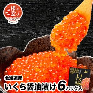 秋鮭いくら100g×6P(計600g) D-24001