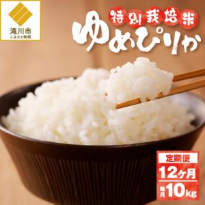 ふるさと納税 滝川市 《令和7年産》特別栽培米ゆめぴりか 10kg×12ヵ月定期便 特A 減農薬 白...