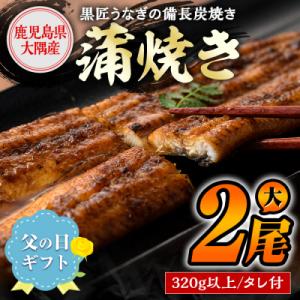 ふるさと納税 肝付町 &lt;父の日用/先行受付&gt; 備長炭焼き「黒匠うなぎ」(有頭)大2尾 タレ付　A39003